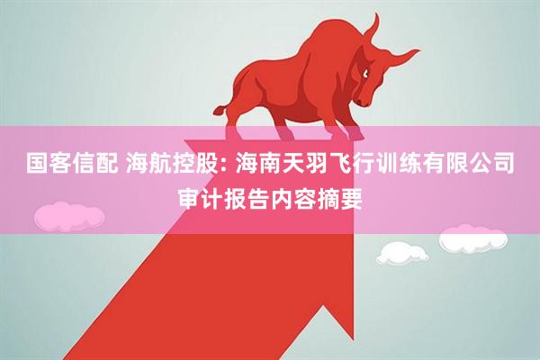 国客信配 海航控股: 海南天羽飞行训练有限公司审计报告内容摘要