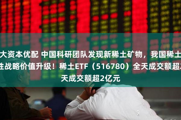 大资本优配 中国科研团队发现新稀土矿物，我国稀土稀缺性战略价值升级！稀土ETF（516780）全天成交额超2亿元