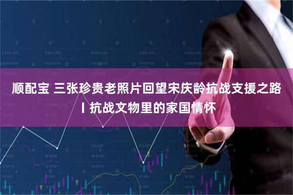 顺配宝 三张珍贵老照片回望宋庆龄抗战支援之路〡抗战文物里的家国情怀