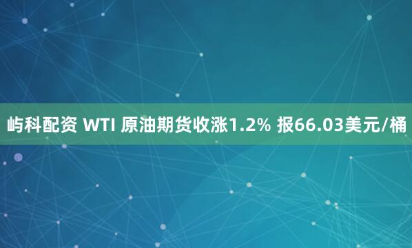 屿科配资 WTI 原油期货收涨1.2% 报66.03美元/桶