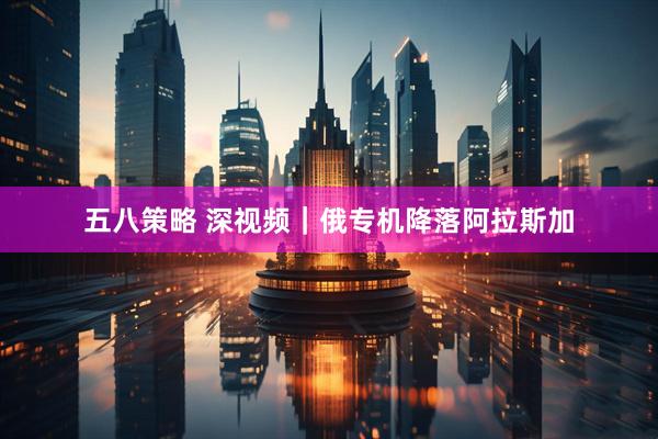 五八策略 深视频｜俄专机降落阿拉斯加