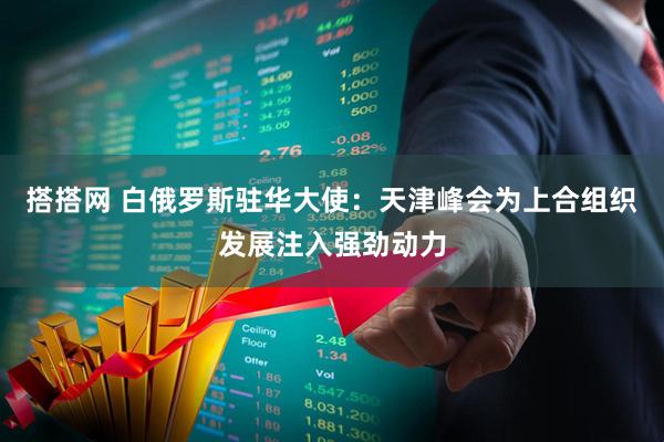 搭搭网 白俄罗斯驻华大使：天津峰会为上合组织发展注入强劲动力