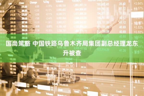 国尚策略 中国铁路乌鲁木齐局集团副总经理龙东升被查