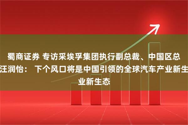 蜀商证券 专访采埃孚集团执行副总裁、中国区总裁汪润怡： 下个风口将是中国引领的全球汽车产业新生态