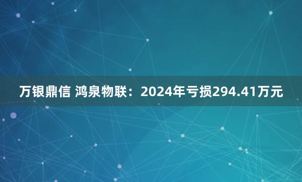 万银鼎信 鸿泉物联：2024年亏损294.41万元
