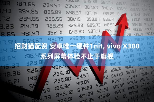 招财猫配资 安卓唯一硬件1nit, vivo X300系列屏幕体验不止于旗舰