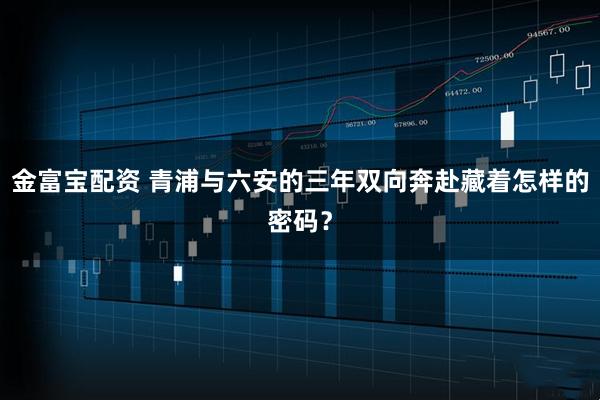 金富宝配资 青浦与六安的三年双向奔赴藏着怎样的密码?